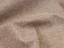 Wool (camel)